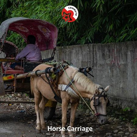 Spot On 486 Hotel Holy Lodge Sauraha Luaran gambar
