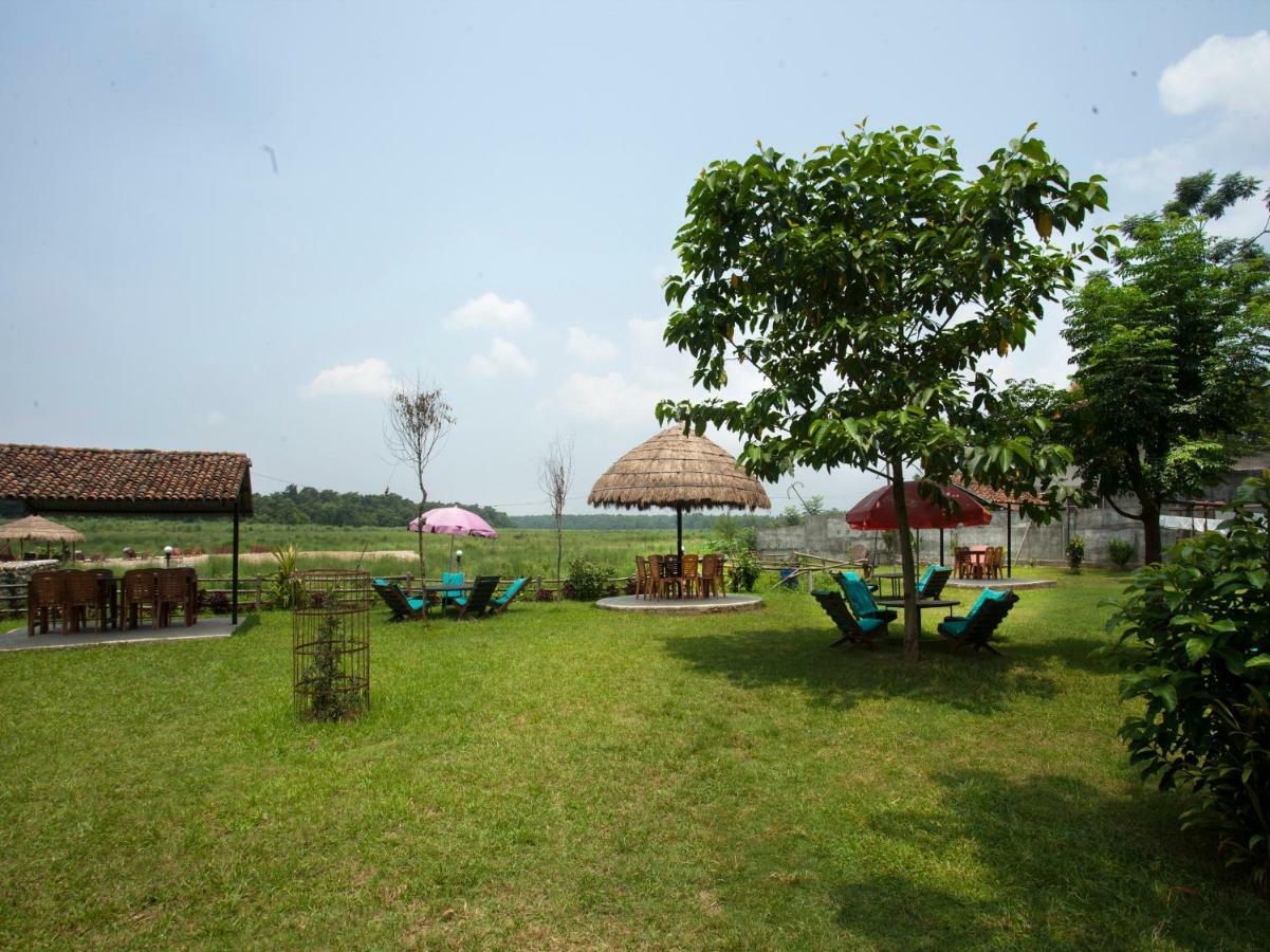 Spot On 486 Hotel Holy Lodge Sauraha Luaran gambar