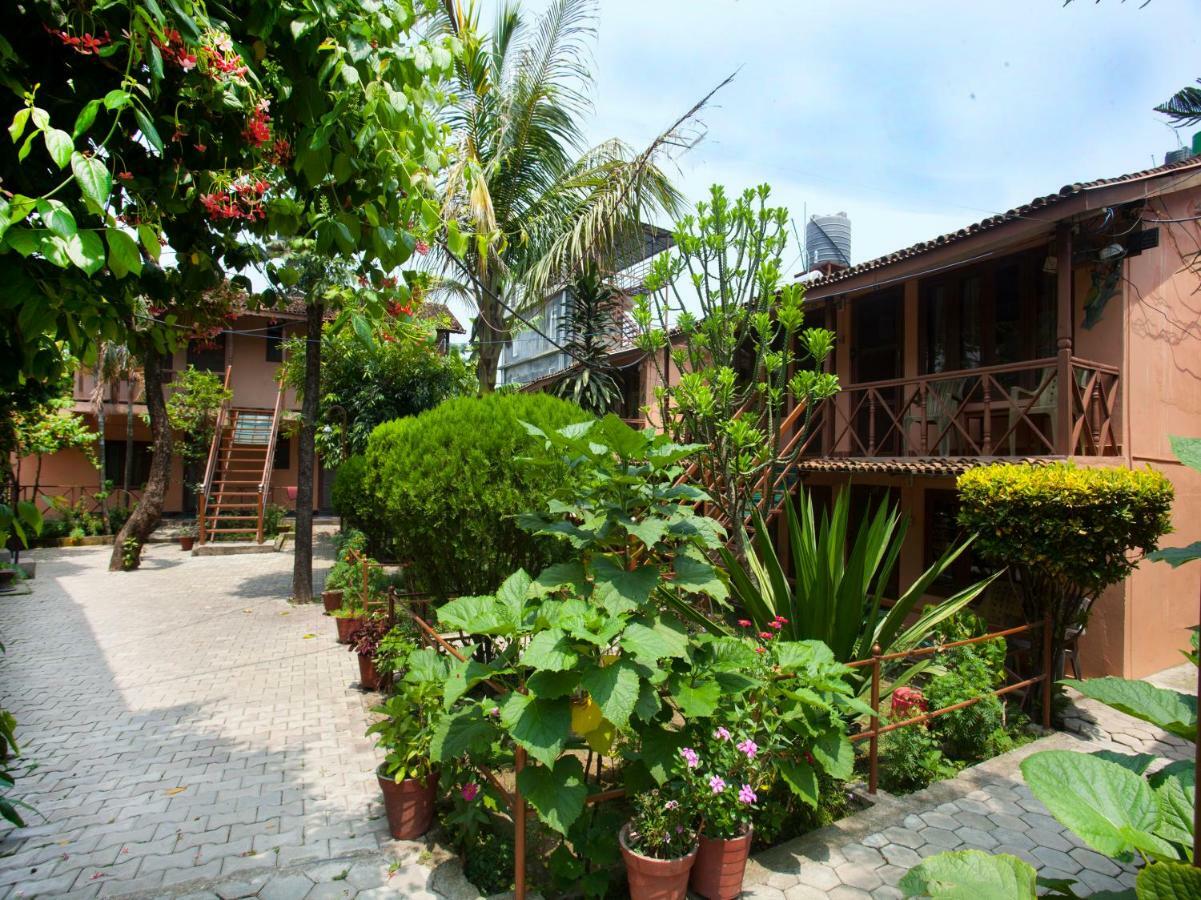 Spot On 486 Hotel Holy Lodge Sauraha Luaran gambar