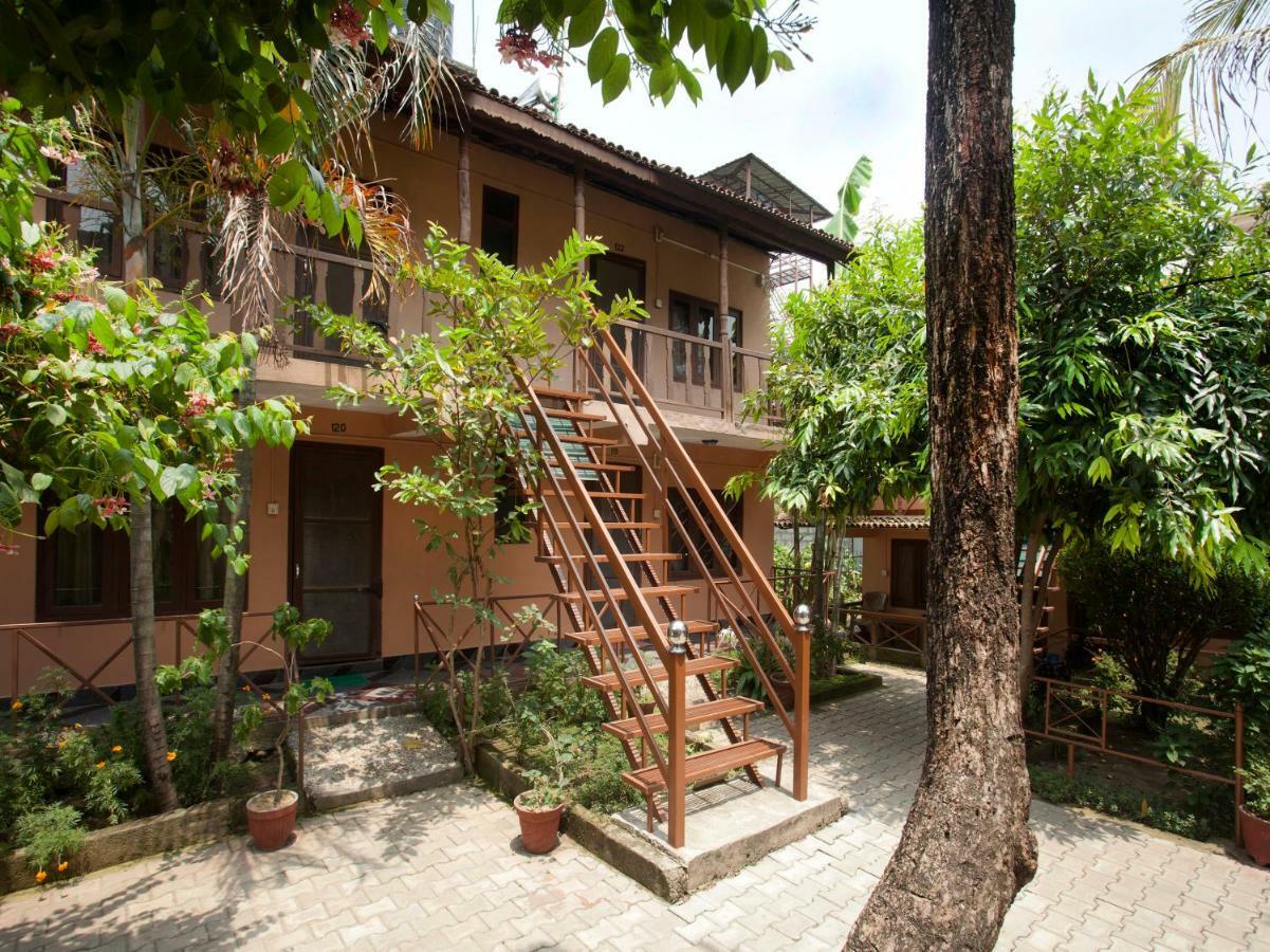 Spot On 486 Hotel Holy Lodge Sauraha Luaran gambar